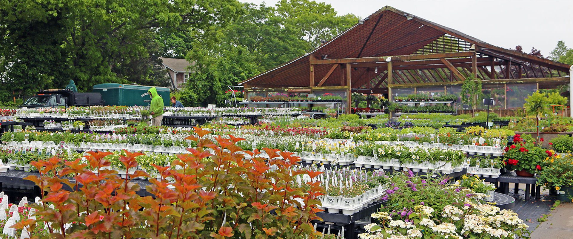 Home Hyannis Country Garden