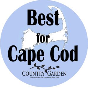 best_cape_cod 2020 best_cape_cod 2020