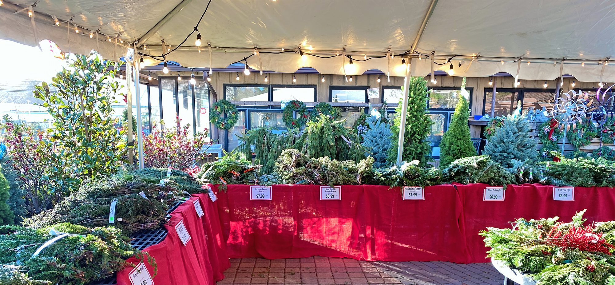 Home Hyannis Country Garden