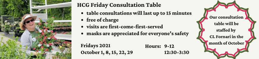 consultation table website banner