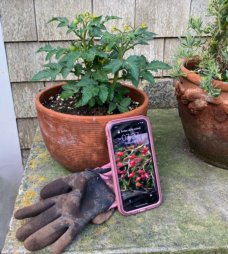 smart phone garden tool
