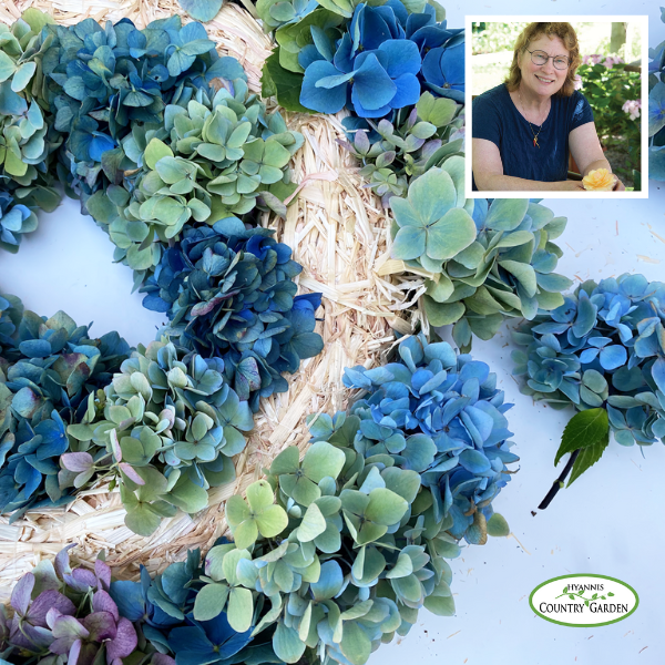 HYdrangea Wreath sunday Seminar Public Calendar (1) HYdrangea Wreath sunday Seminar Public Calendar (1)
