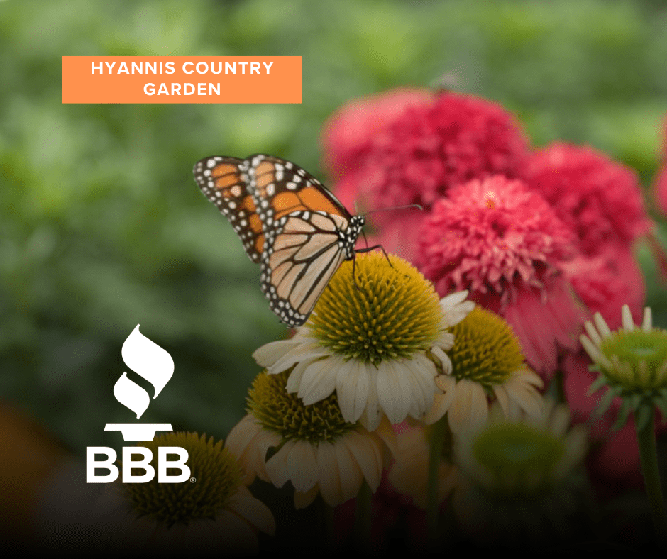 BBB proud member butterfly