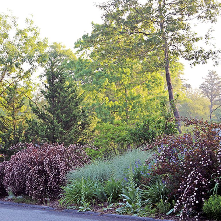 Home Hyannis Country Garden