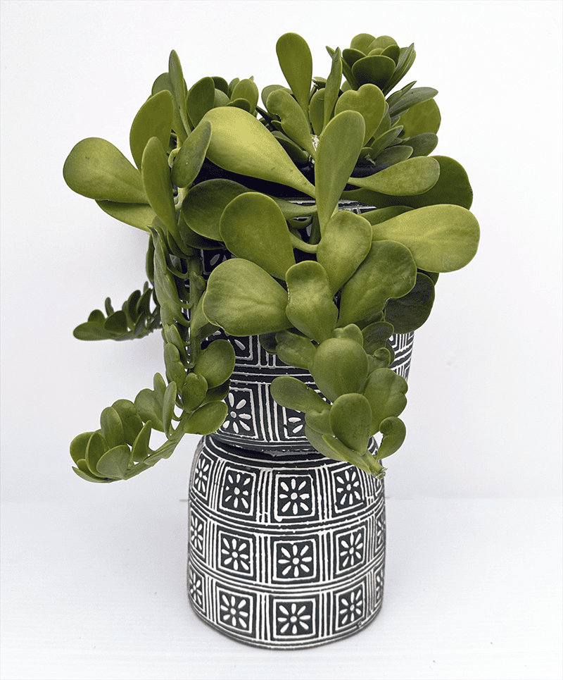Now the cascading jade plant can droop and still be seen. Stacked pots are also the perfect way to create layers of houseplants on a table.