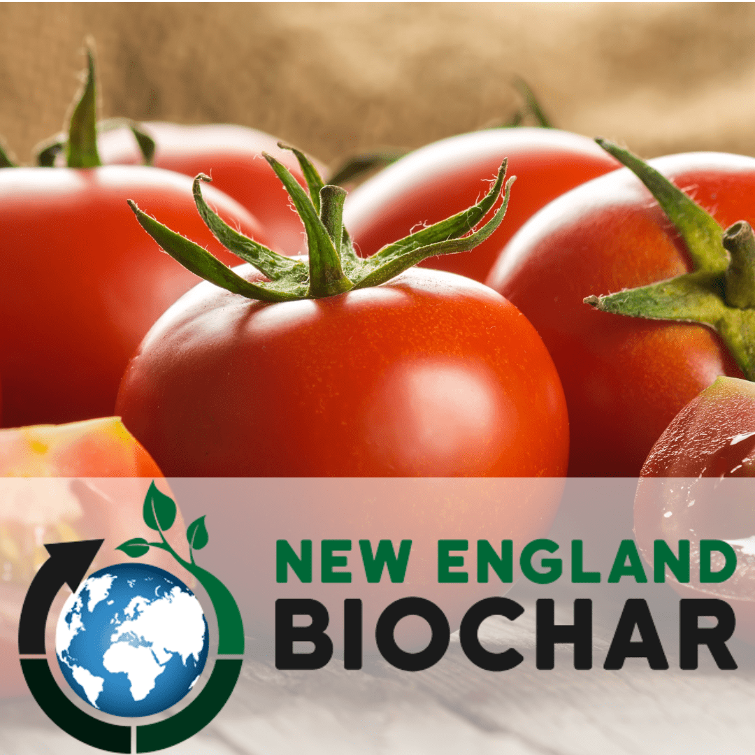 FB logo (6) BioChar