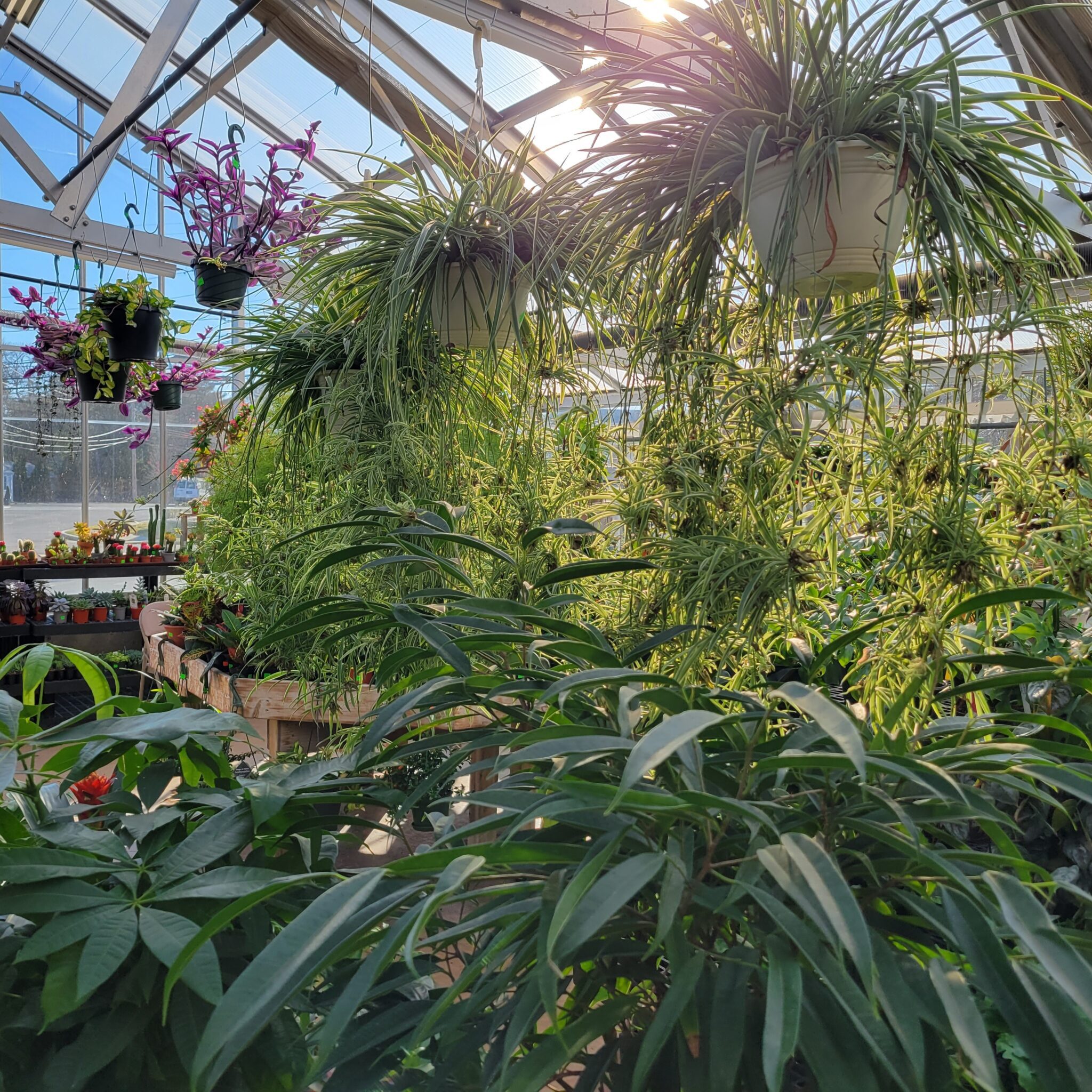 breathing room square