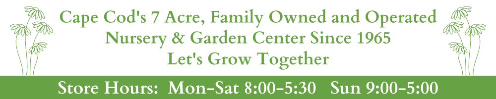 Copy of website header (500 × 125 px) (1000 × 200 px) (9)