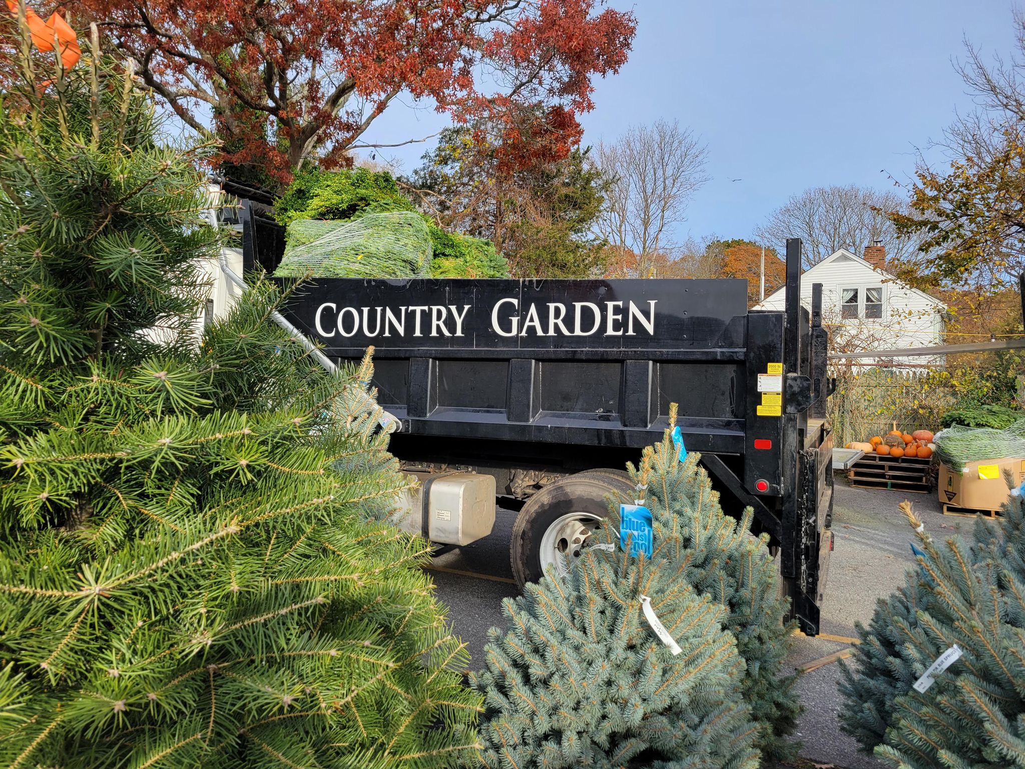 Dump Truck country garden from messenger