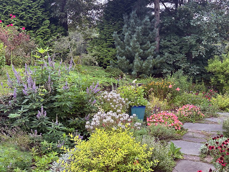 Options for Reducing Your Lawn & Turf Care - Hyannis Country Garden