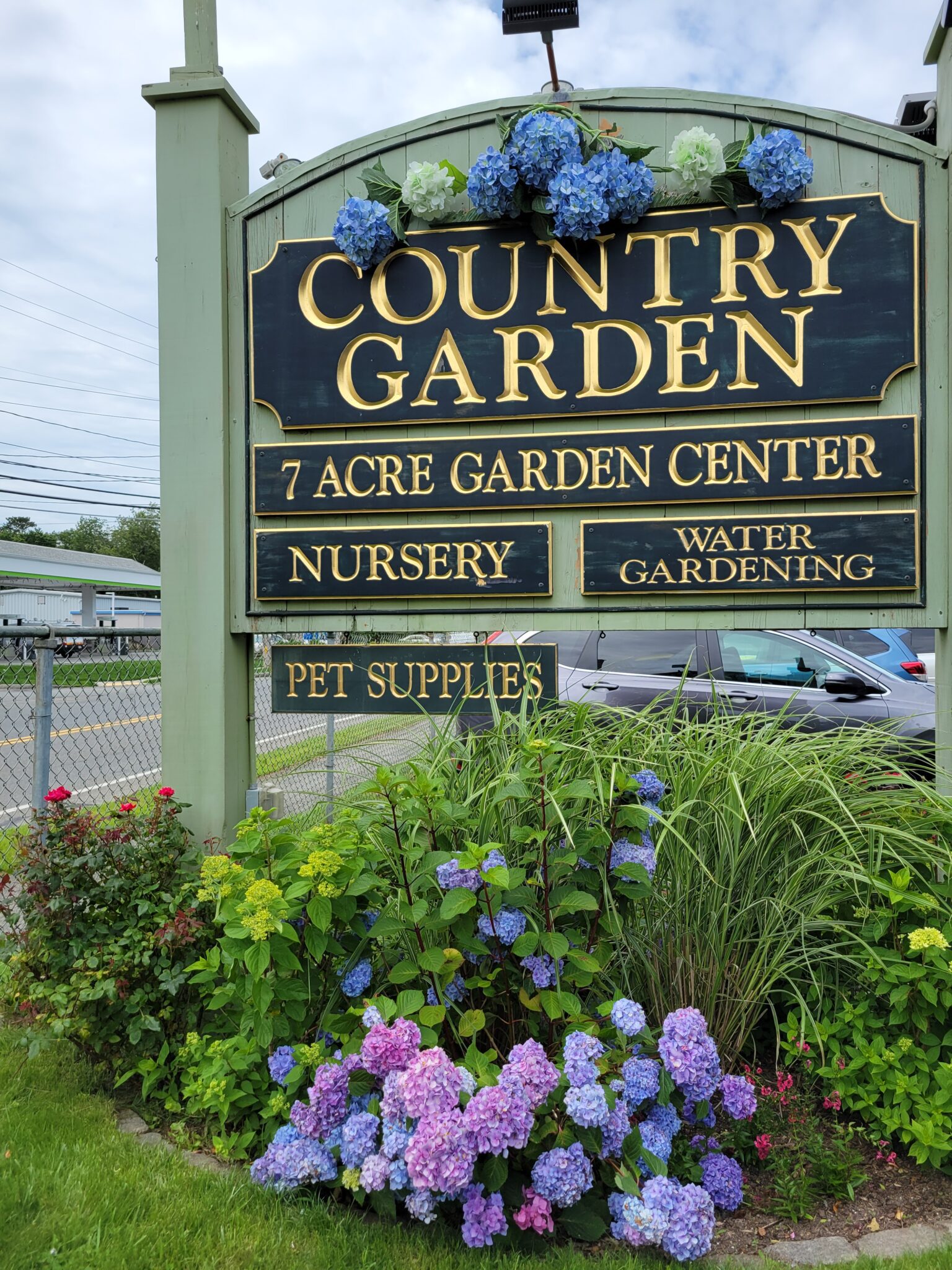 Blue Hydrangea HCG Sign July 2021 3