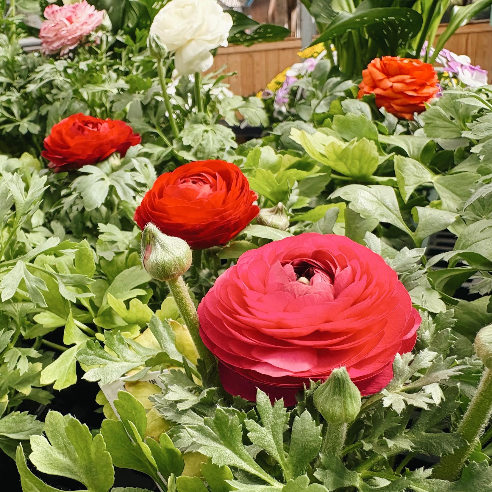 Processed with VSCO with a6 preset