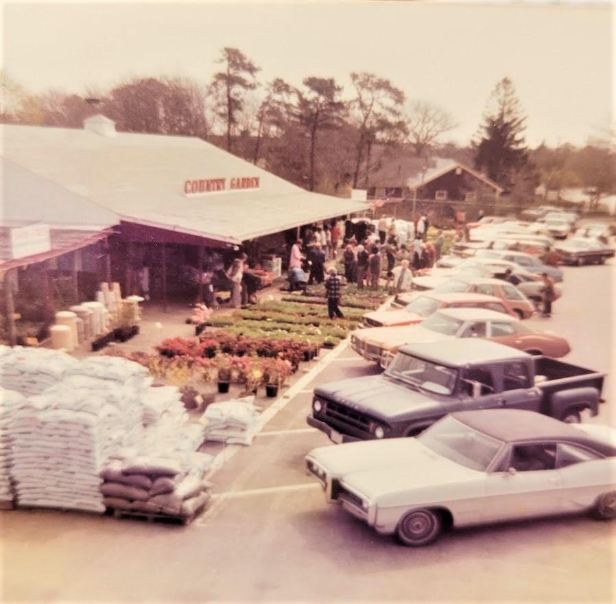 495500112_1240866201027525_4708401937316822493_n