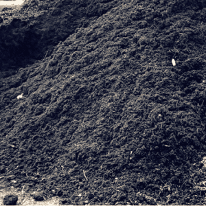 Bulk Products at HCG (12)